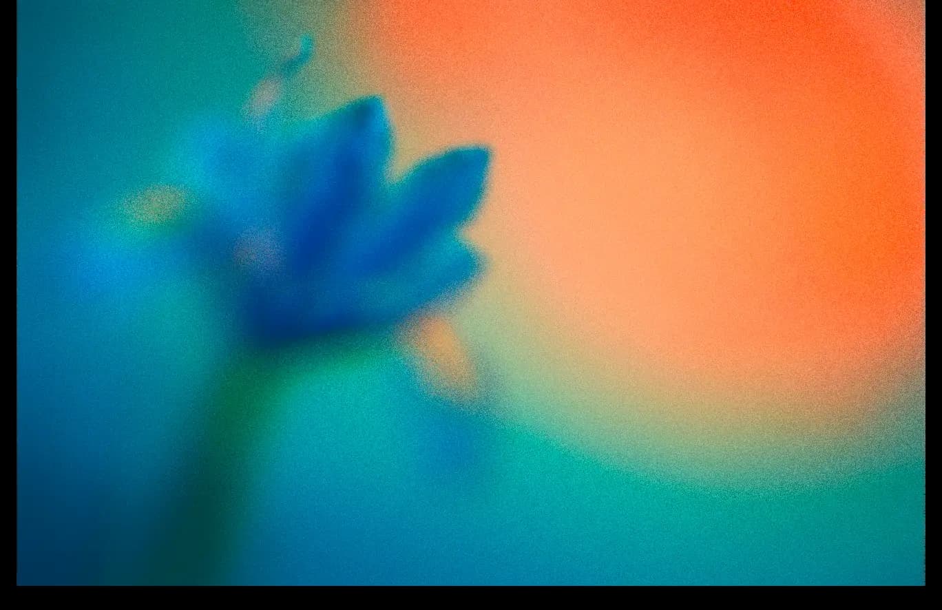 Blauwe bloemen in een veld