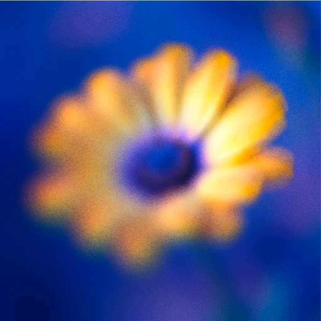 Diepblauwe en gele bloem
